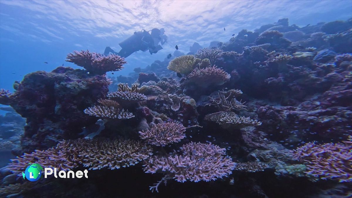 Puntata del 2 novembre