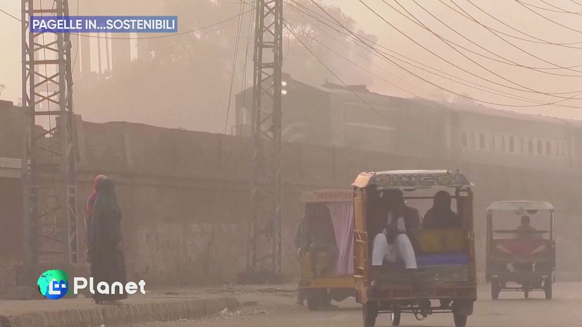 Pagelle in... sostenibili