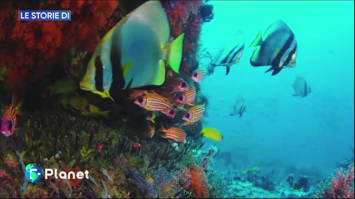 Le storie di Lifegate