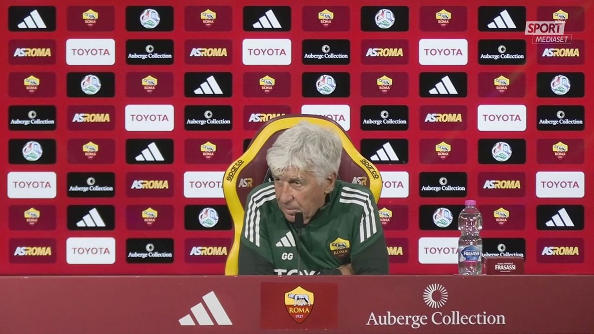 GASPERINI E IL GATTO SRV