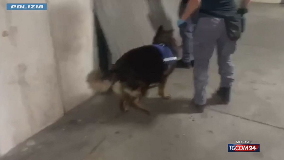 CATANIA POLIZIA DROGA NEI FRIGORIFERI GARAGE SRV