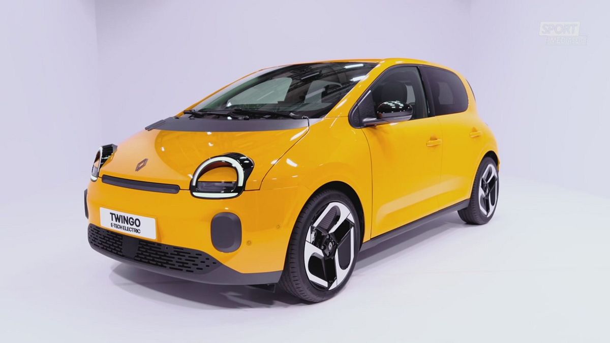 RENAULT TWINGO PER SITO SRV