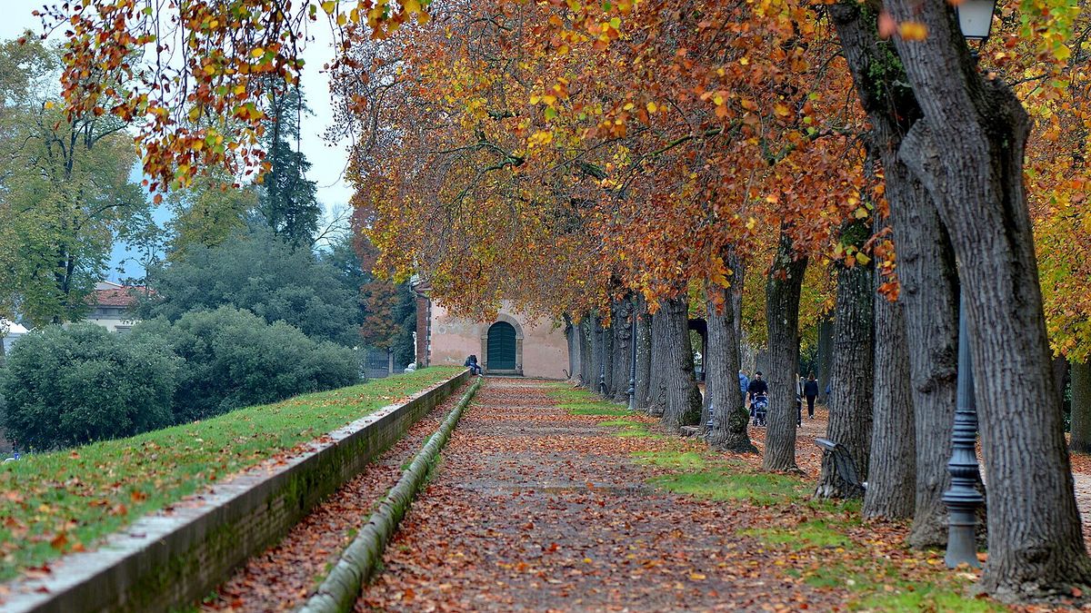 Mura di Lucca by R. Giomi 