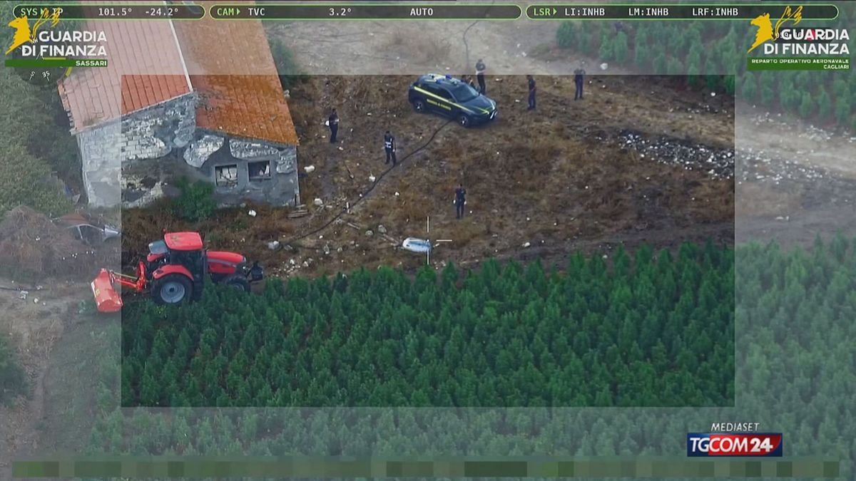 18.00 PIANTAGIONE MARJUANA SASSARI MCH