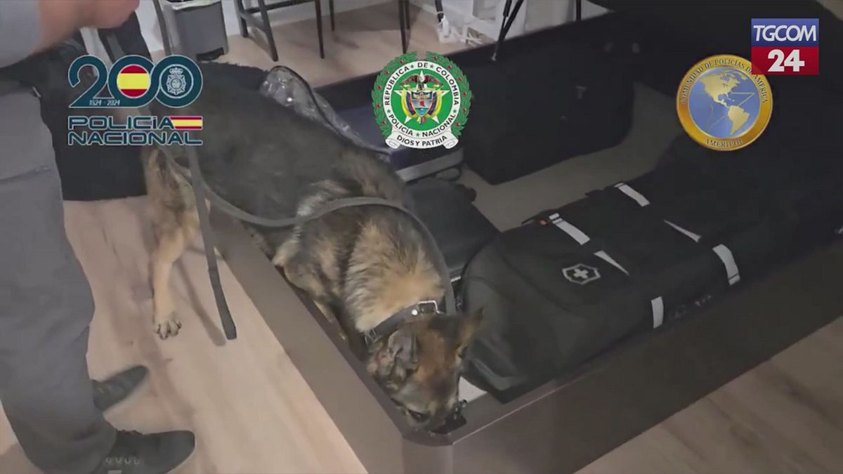 Spagna, blitz della polizia contro gang venezuelana Tren de Aragua