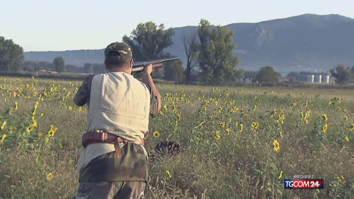 12.25 GIORNATA DEI GUINNESS, I RECORD ITALIANI