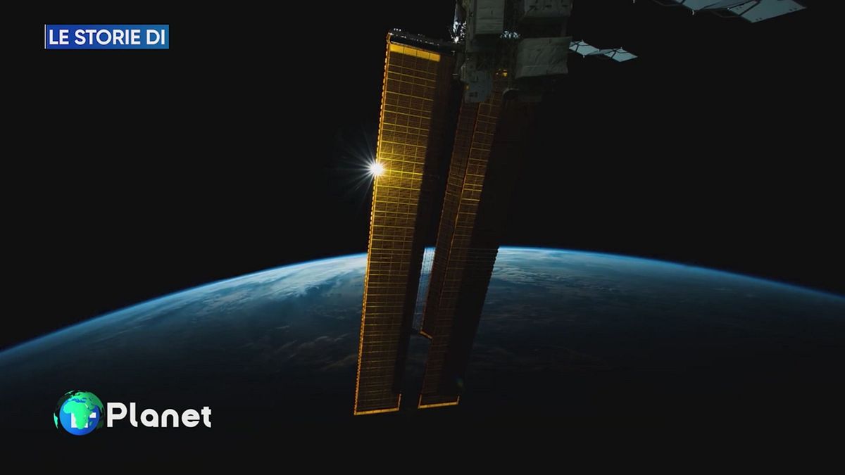 Le storie di Lifegate