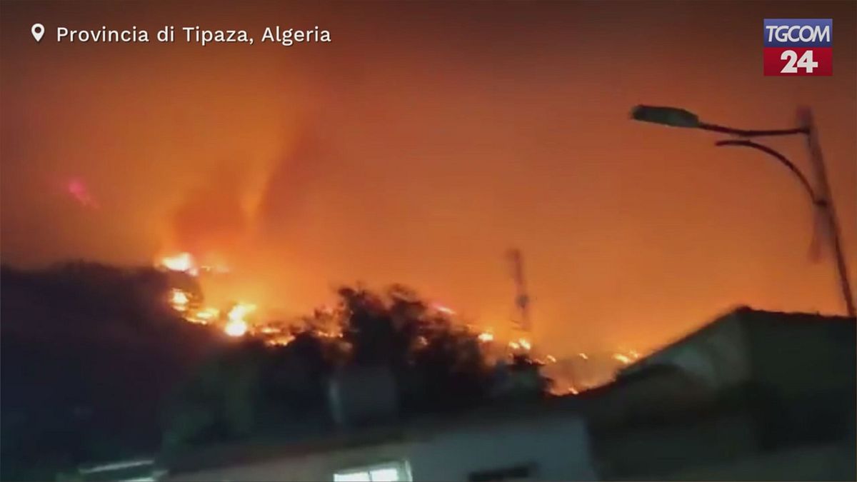 Algeria, a Tipaza le fiamme avanzano: evacuate decine di famiglie
