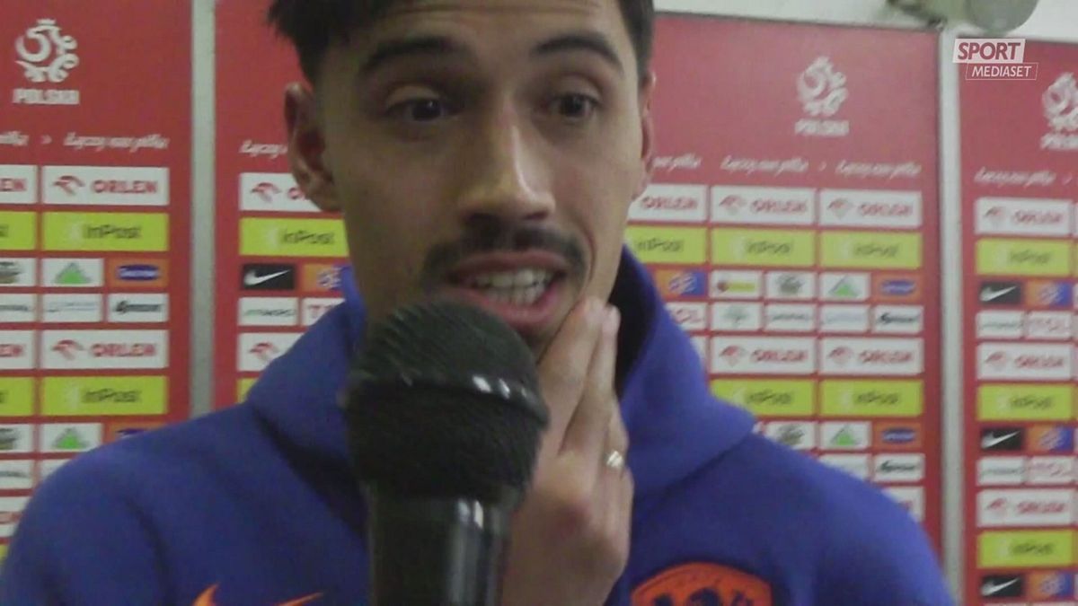 DICH REIJNDERS PER SITO  ok