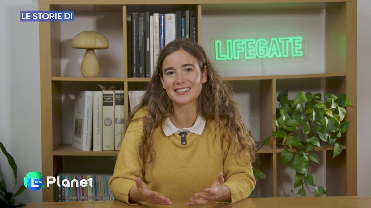 Le storie di LifeGate