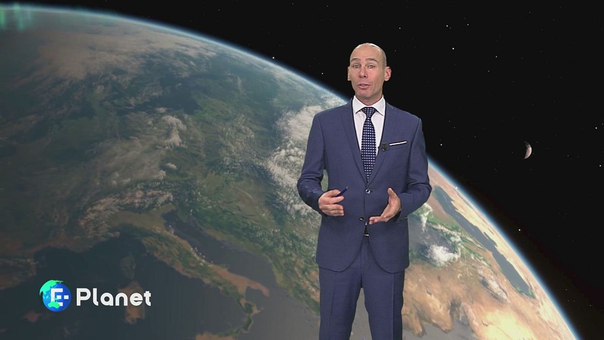 Che mondo fa: il declino della biodiversità