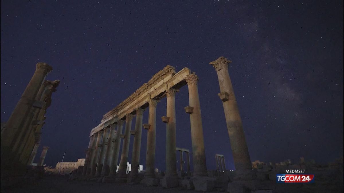 12.00 ZENOBIA -  SRV