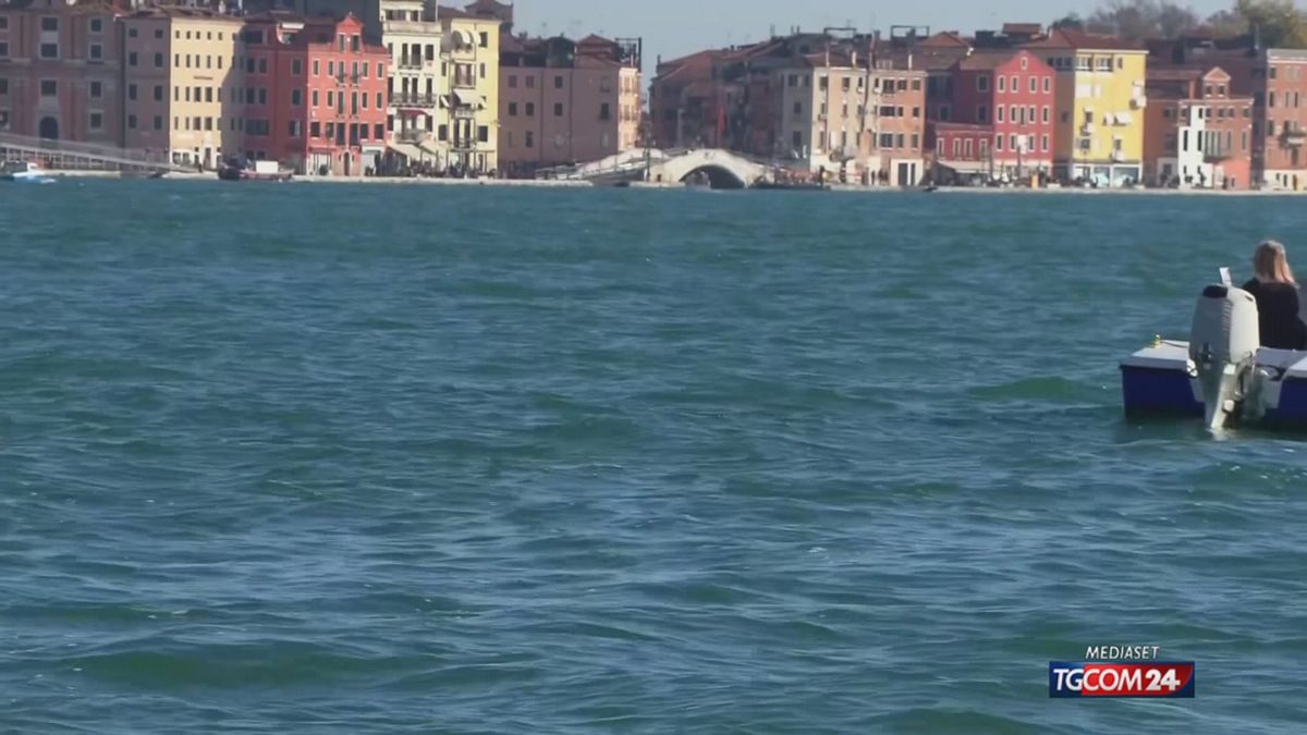 12.00 VENEZIA IL DELFINO NON SE NE VA SRV