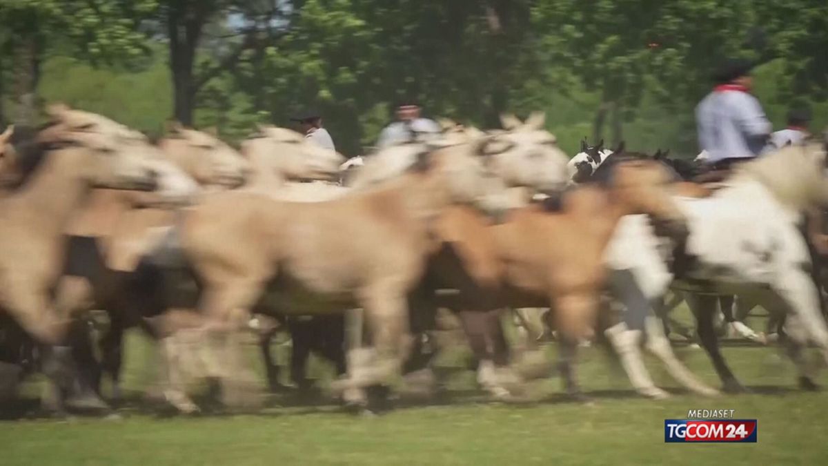 12.00 MCH ARGENTINA E GAUCHOS MCH