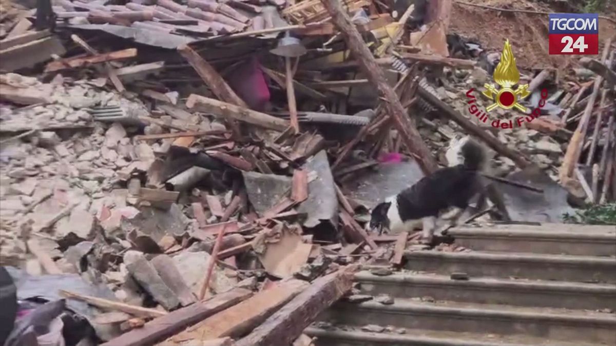 Frana a Cormons, si cercano i dispersi: in azione anche i cani molecolari