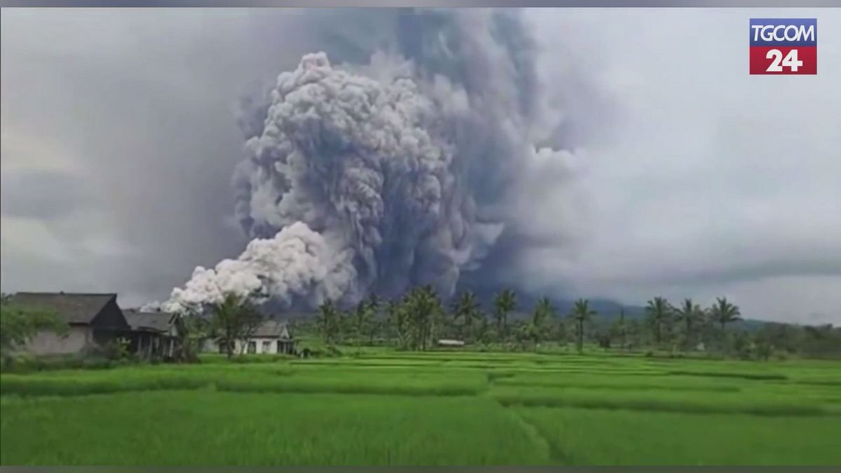 Indonesia, eruzione violenta del Semeru: colonna di cenere alta 600 metri