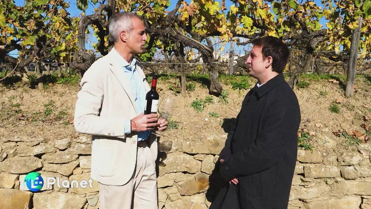 Nel cuore del Valdarno