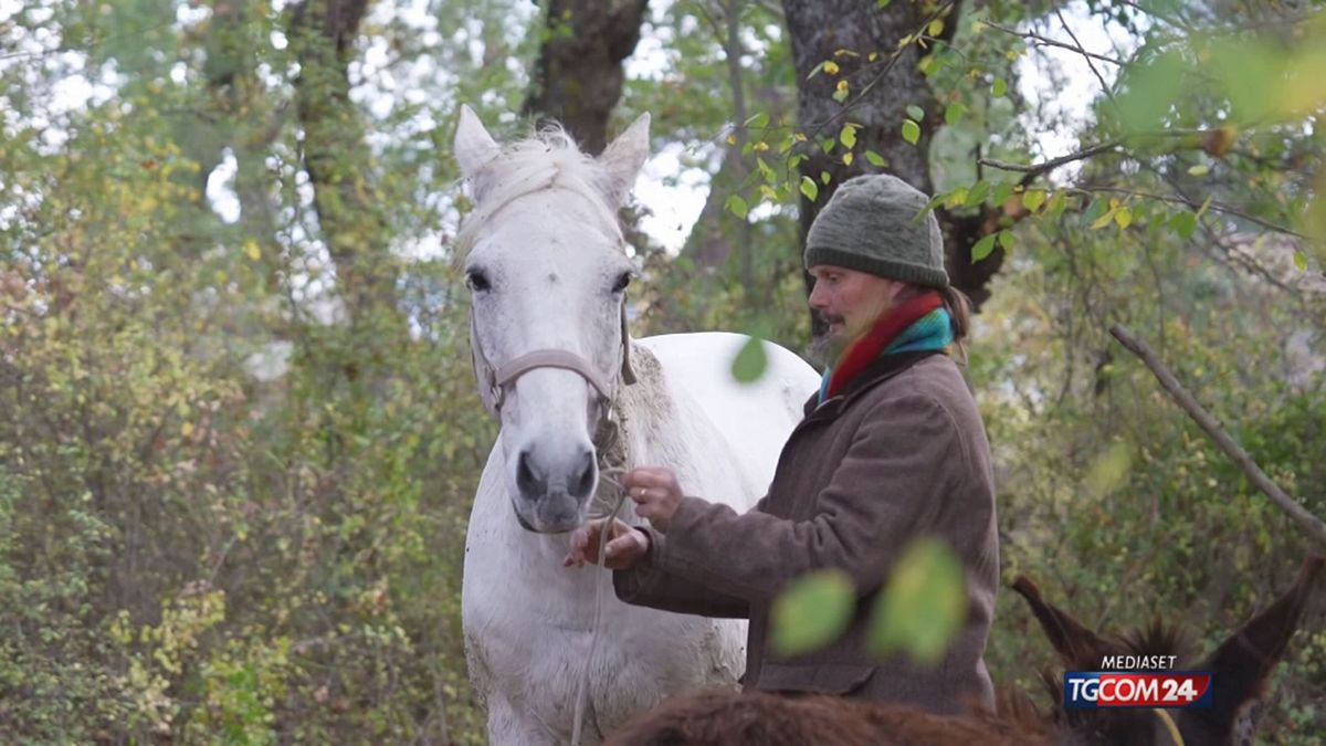 18.00 SVILUPPI BAMBINI BOSCO SRV