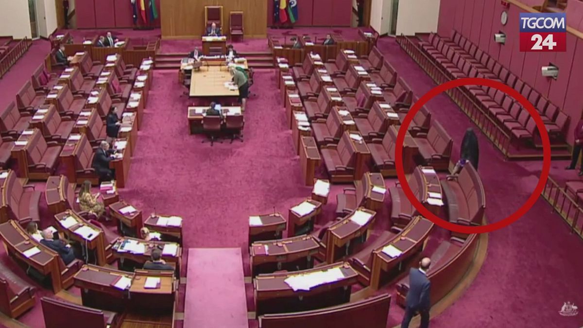 Australia, senatrice di estrema destra entra in aula col burqa: esplode la protesta