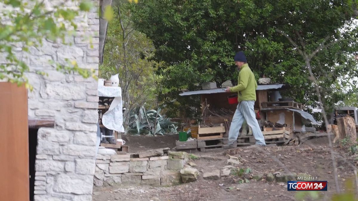 12.00 SVILUPPI FAMIGLIA NEL BOSCO SRV