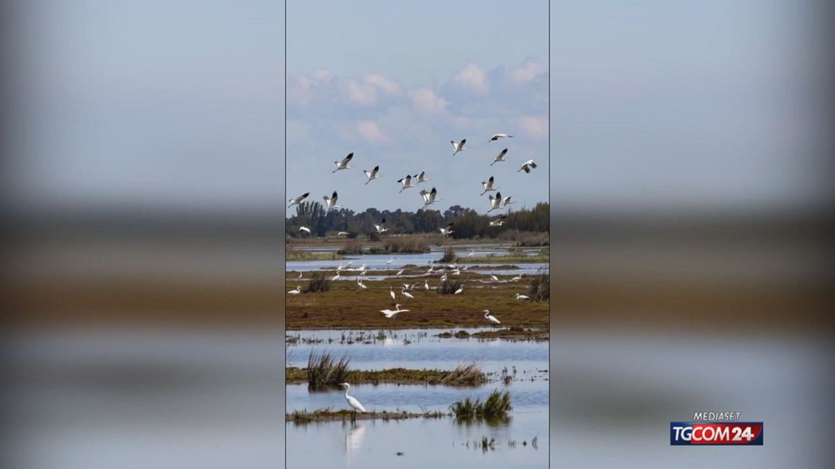 18.05 ELEZIONI, LE CURIOSITA'