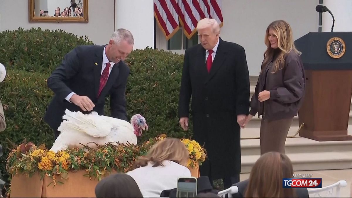 TRUMP TACCHINI PER SITO SRV