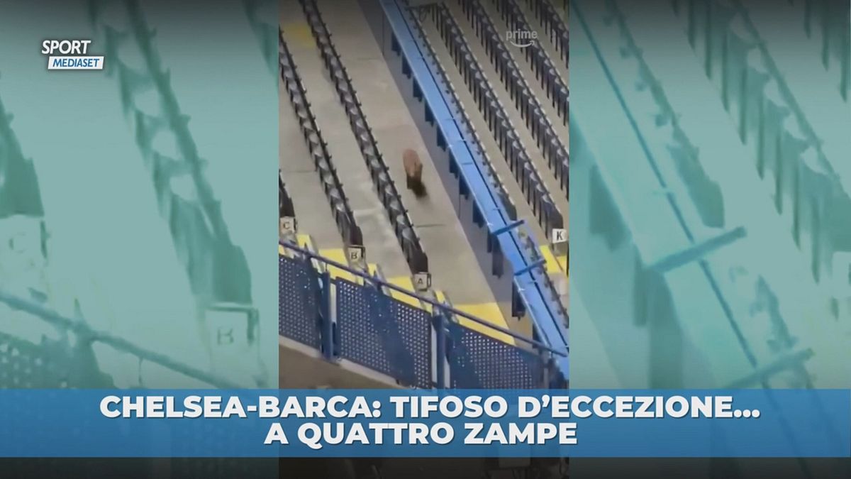 Volpe titolare in Champions