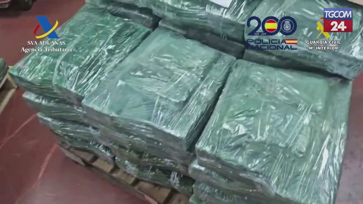 Valencia, sequestrate due tonnellate di coca nascoste tra la frutta