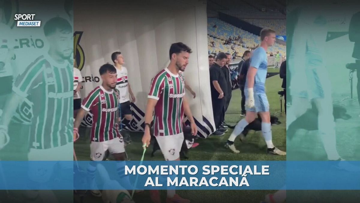 Fluminense-San Paolo: giocatori in campo con i cani per l'adozione
