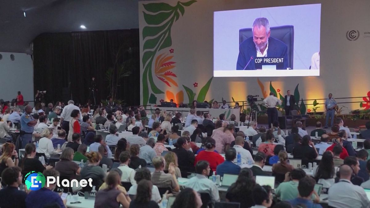 COP23: Quale verità?