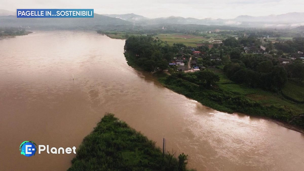 Pagelle in...sostenibili