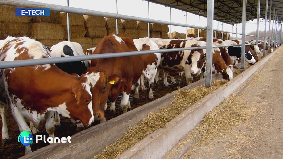 E-Tech: il biometano