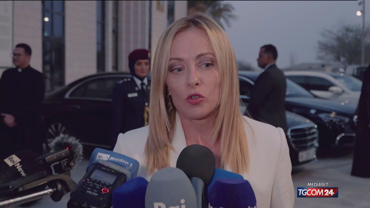 MELONI INTEGRALE SRV