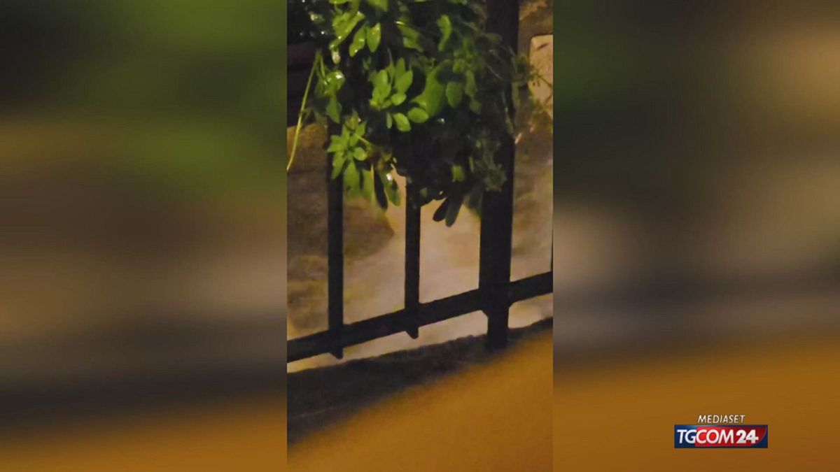 MALTEMPO PISTICCI X SITO SRV