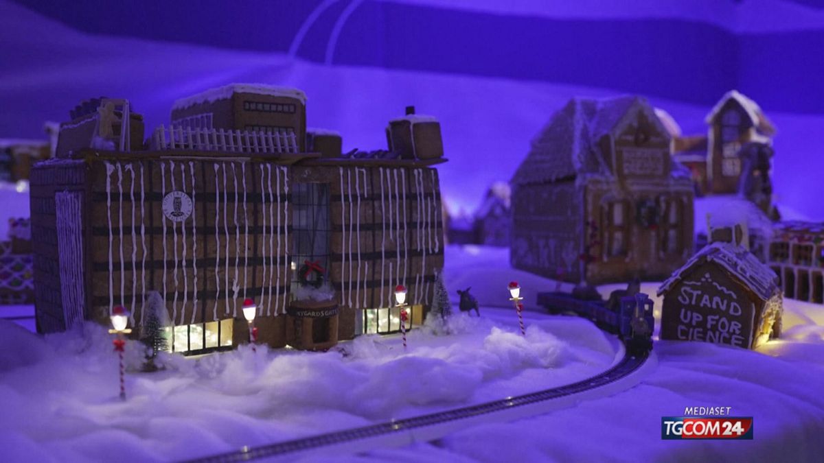 NORVEGIA CITTA' PAN DI ZENZERO SRV