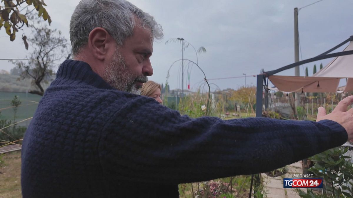 18.01 RIMINI, ALLARME LUPI SRV