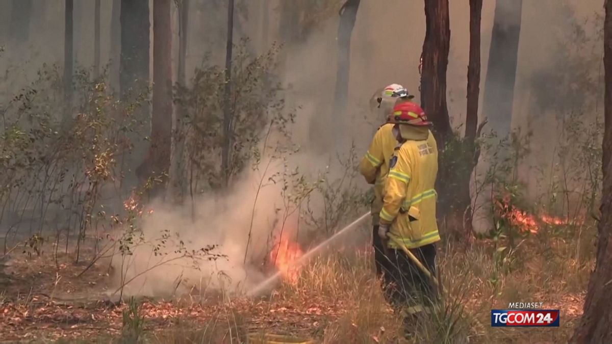 incendi australia per sito SRV