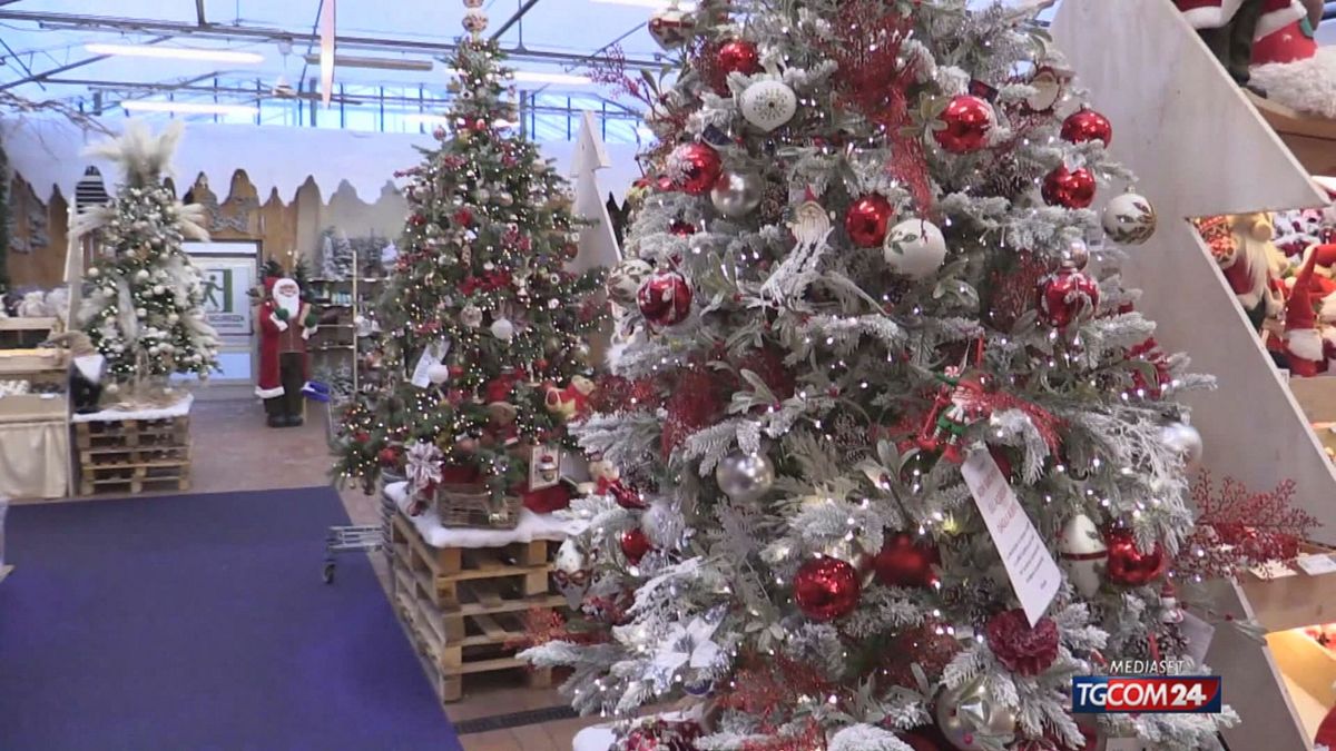 12.01 NATALE, IA SOTTO L'ALBERO