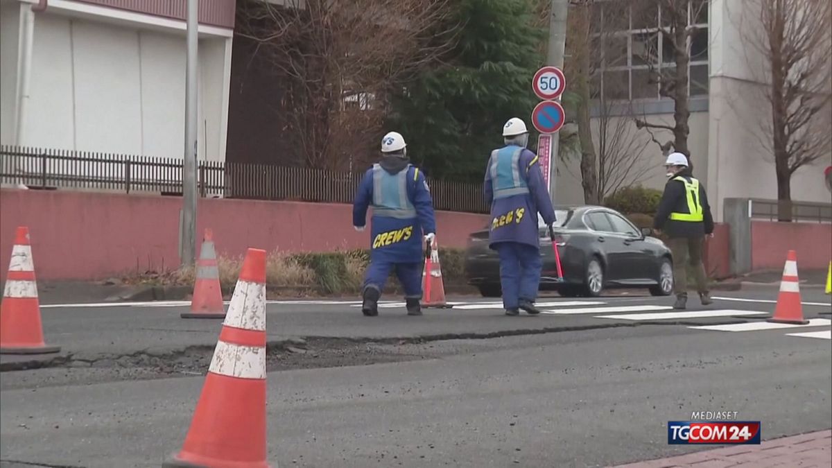 DANNI TERREMOTO GIAPPONE X SITO SRV