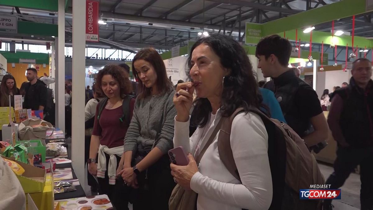 18.00 MILANO, PANETTONE CON FARINA DI GRILLO SRV