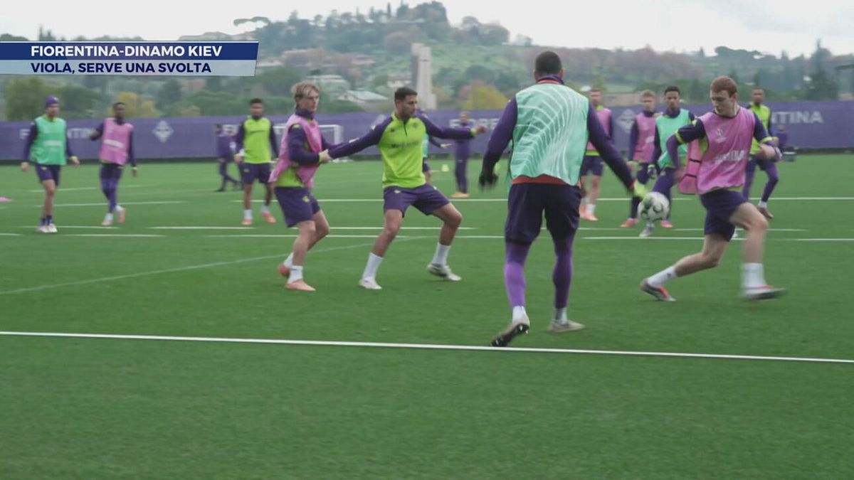 Fiorentina- Dinamo Kiev