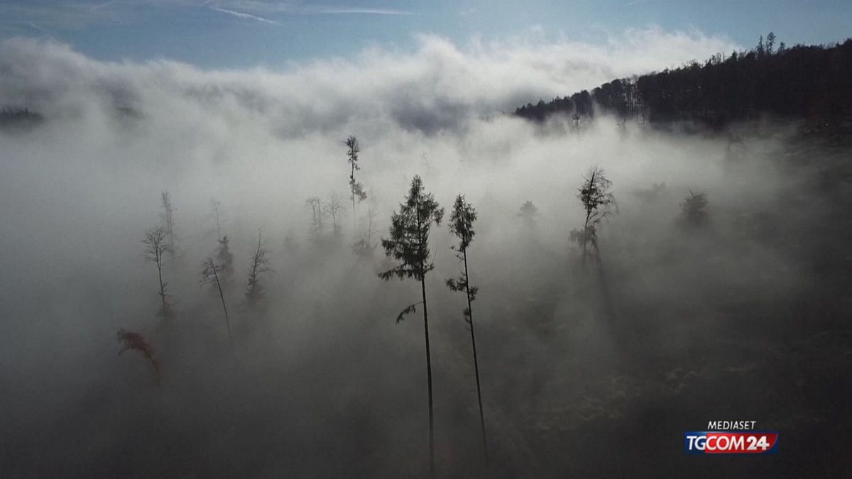 12.05  LA CORTE DEI MORTI, R. RIORDAN SRV