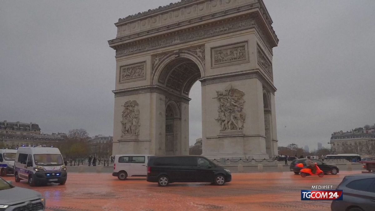 ARCO DI TRIONFO GREENPEACE SITO SRV