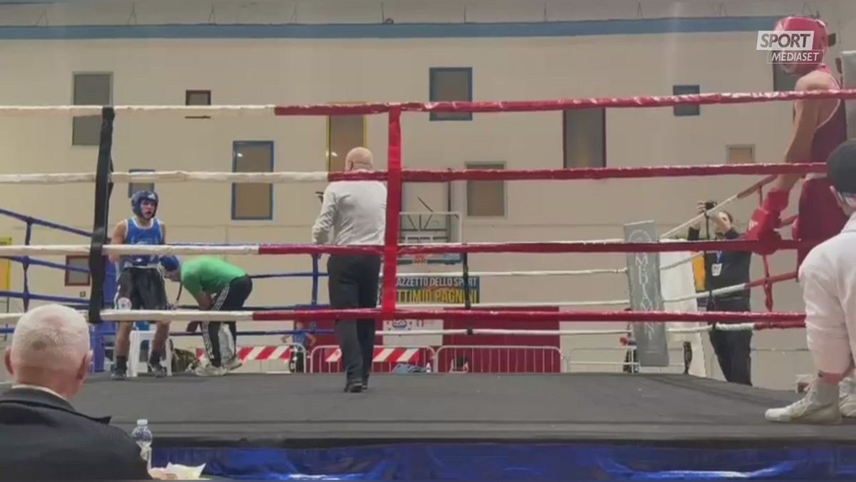 MCH VIDEO BOXE 13/12 MCH