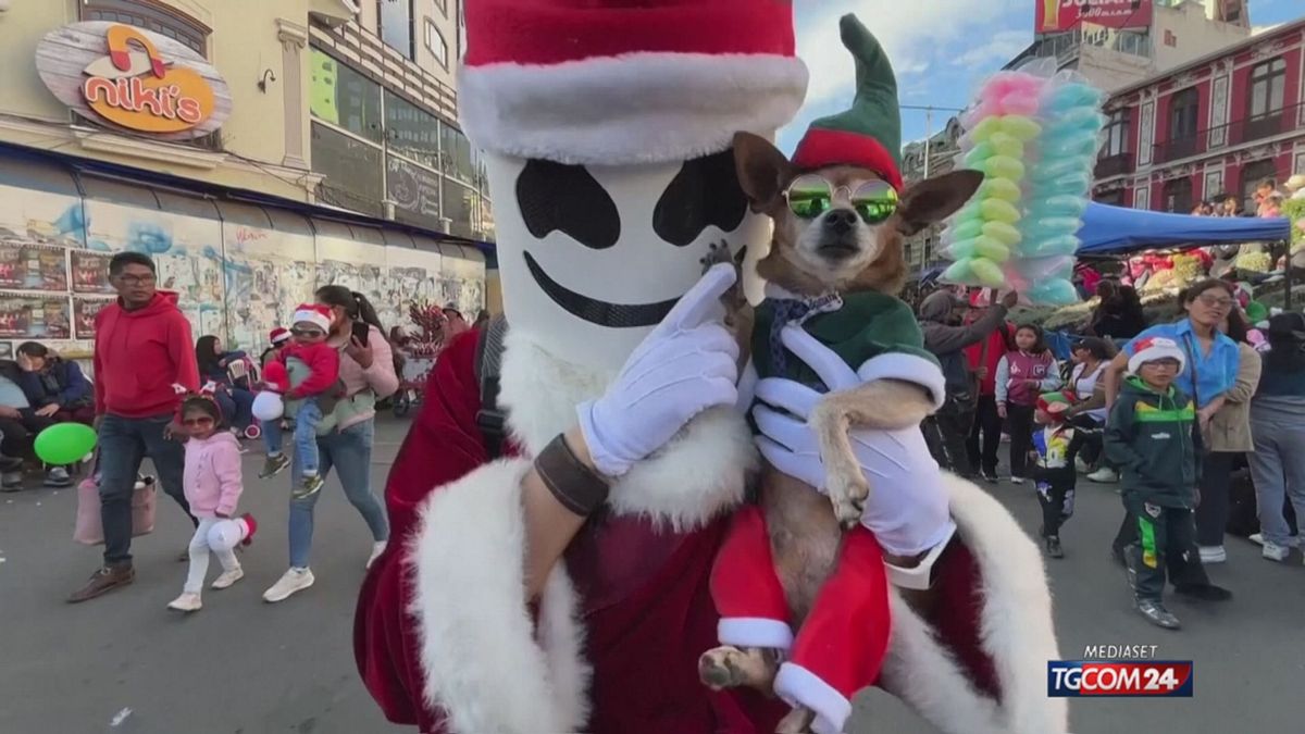 PARATA NATALIZIA DEI CANI SRV