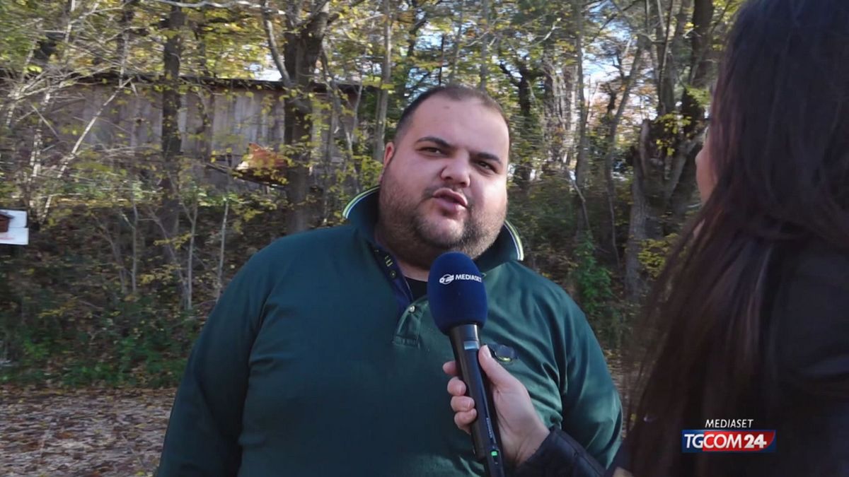 12.00 PALMOLI NEWS SRV