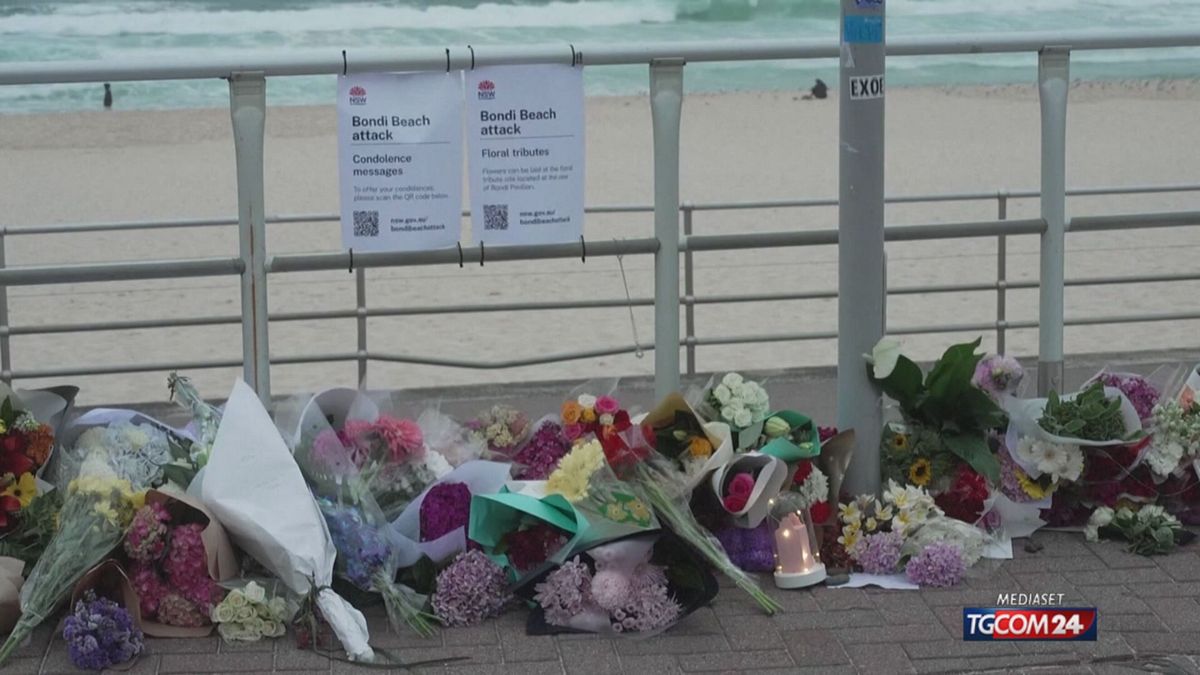 18.00 SIDNEY AGGIORNAMENTO SRV