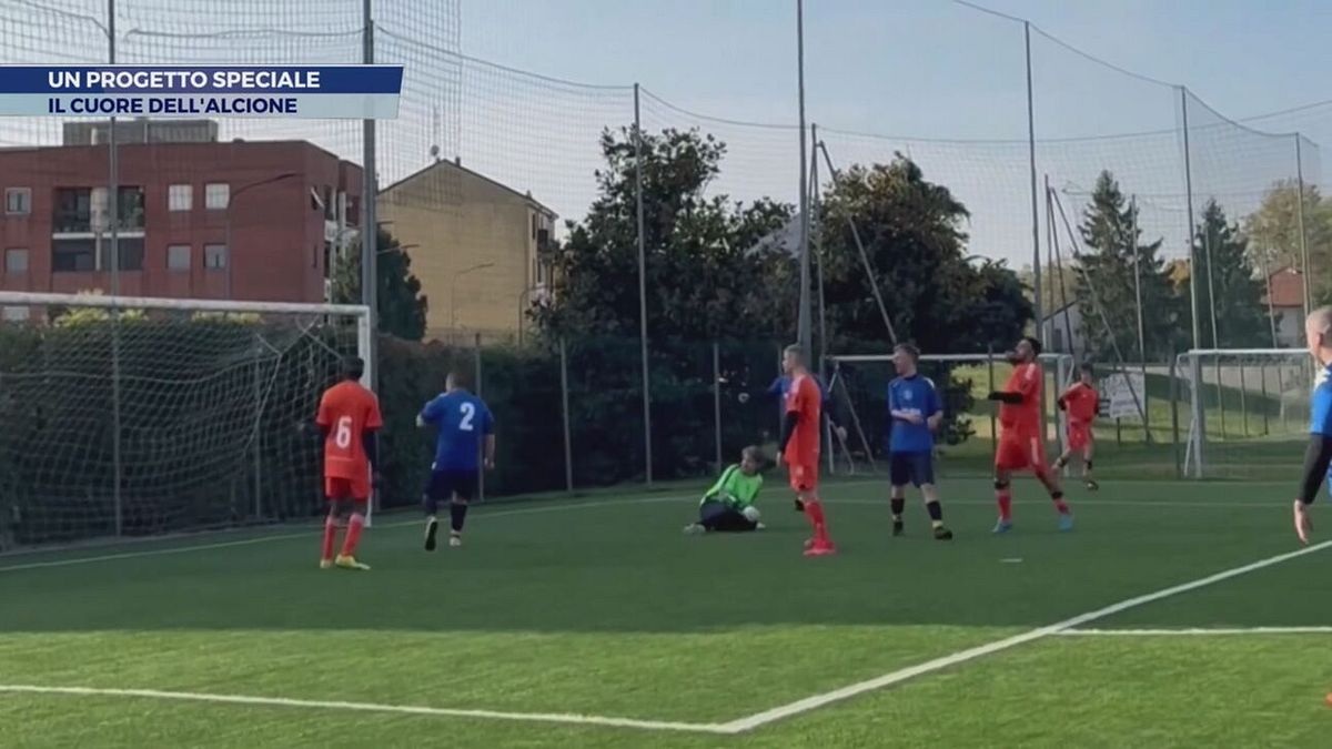 Il cuore dell'Alcione