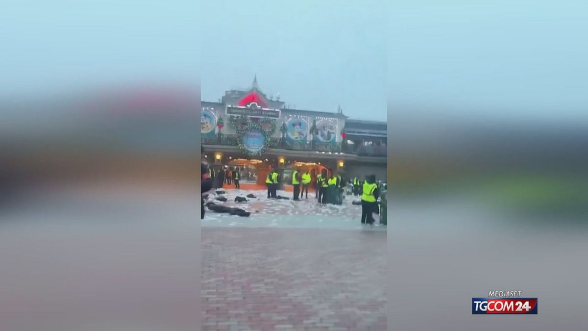 PROTESTE DISNEYLAND PARIS X SITO SRV