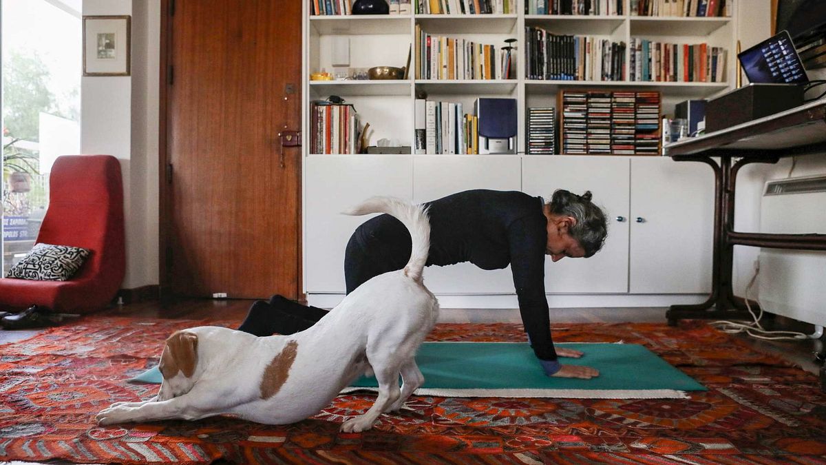 Questa foto scattata il 23 marzo 2020 mostra una donna che prende parte a una lezione di pilates online a casa, mentre il suo cane Elvis si estende accanto a lei, a Nicosia 